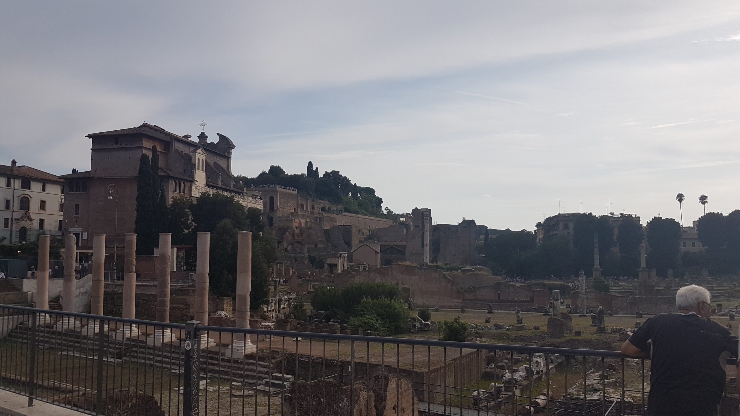 Blick über die Ruinen des Forum Romanum in Rom